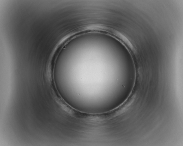 X0000115520931200911131442