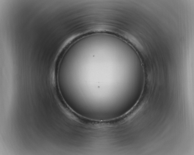 X0000115520934200911131442