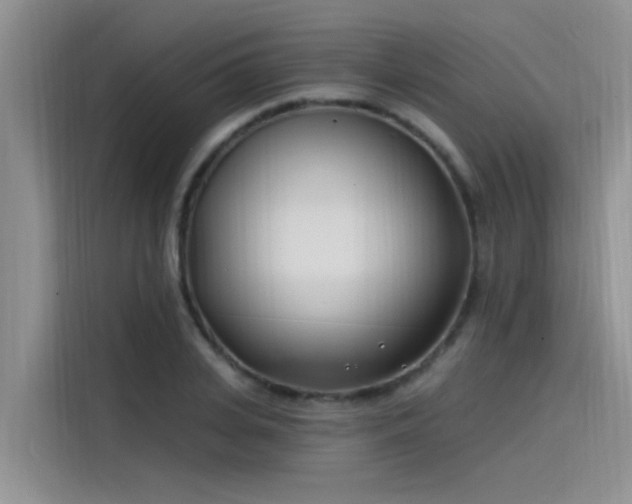 X0000115520935200911131442