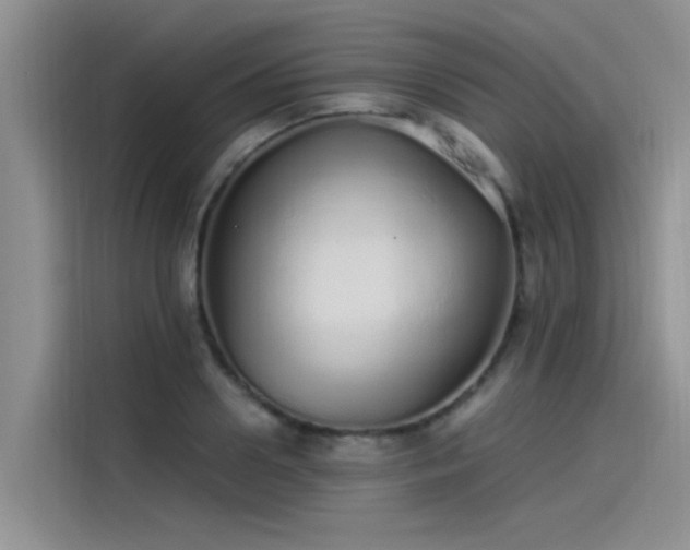 X0000115520938200911131442