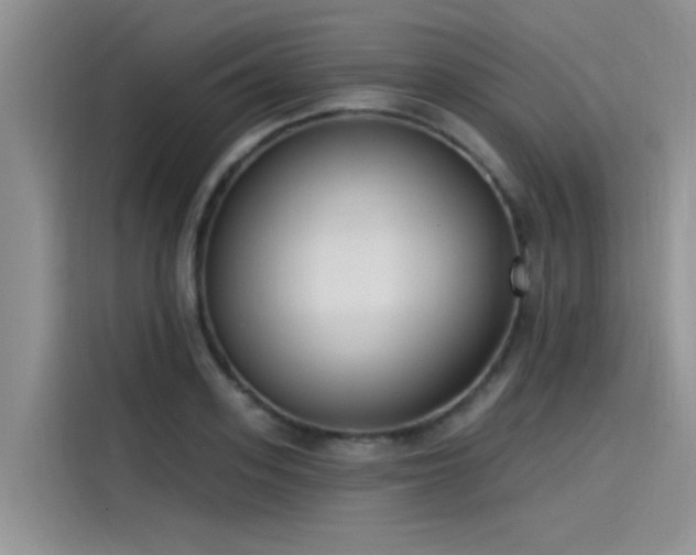 X0000115520939200911131442