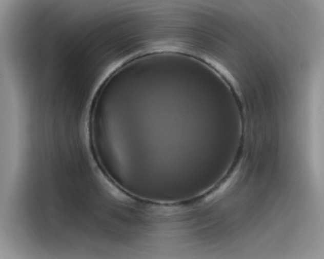 X0000115520941200911131442