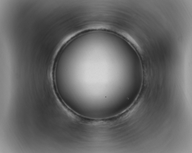 X0000115520943200911131442