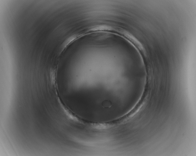 X0000115520945200911131442