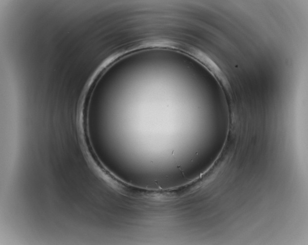 X0000115520947200911131442