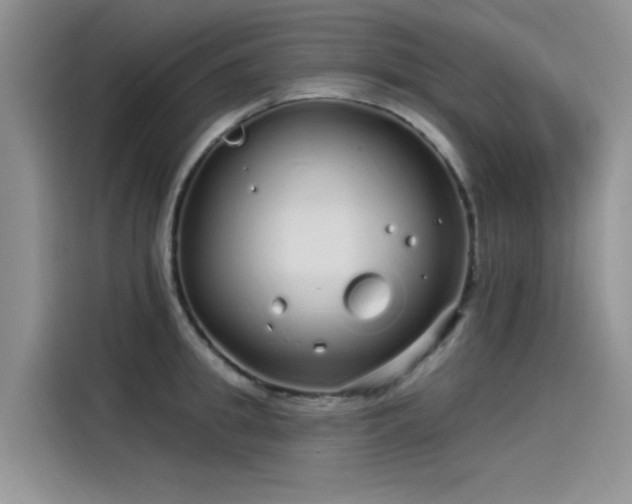 X0000115520949200911131442