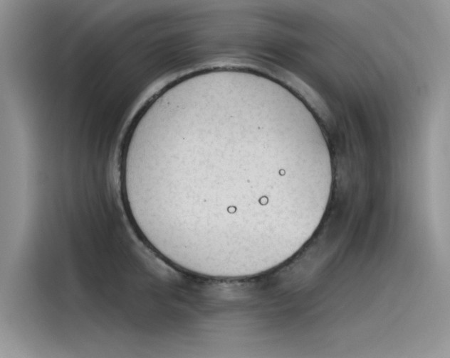 X0000115520950200911131442