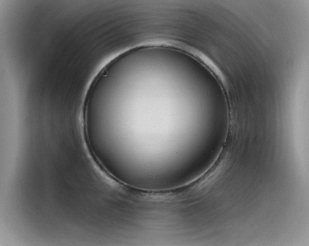 X0000115520951200911131442