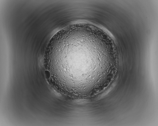 X0000115520953200911131442