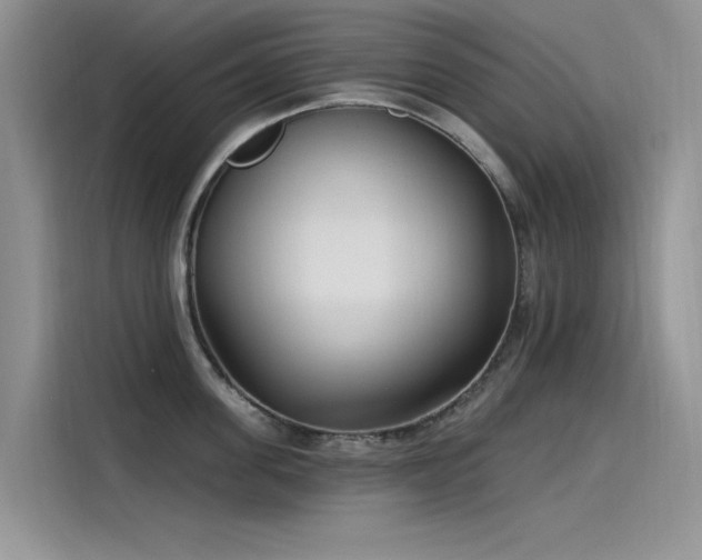 X0000115520955200911131442