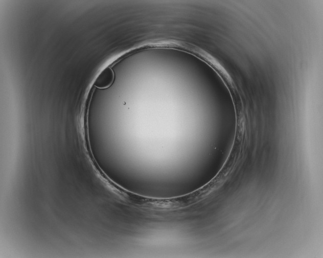 X0000115520959200911131443