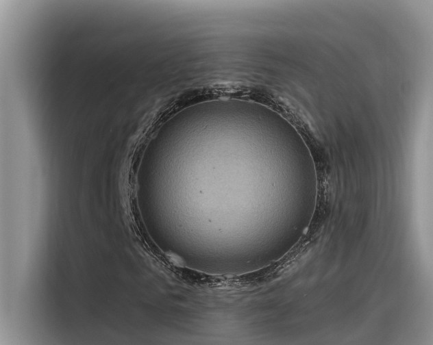 X0000115520961200911131442