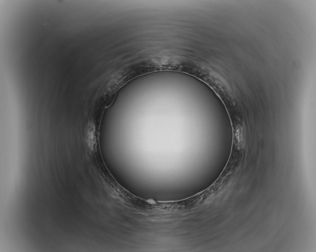 X0000115520963200911131442