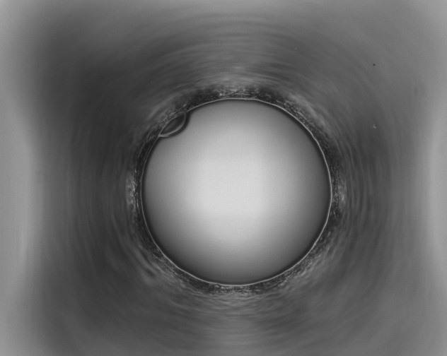 X0000115520964200911131442