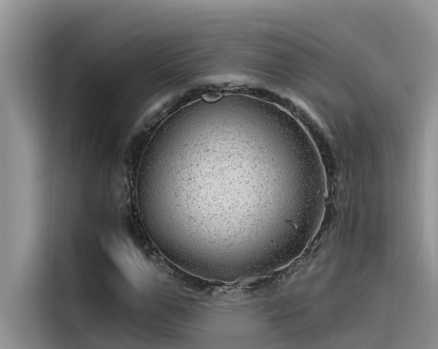 X0000115520967200911131442