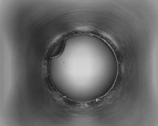 X0000115520968200911131442