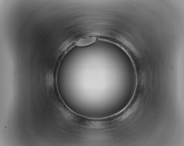 X0000115520969200911131442