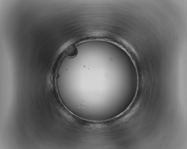 X0000115520970200911131442