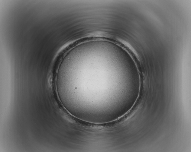 X0000115520971200911131442