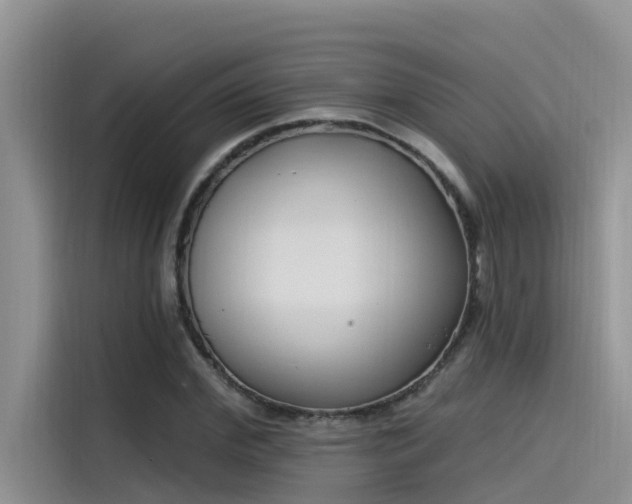 X0000115520972200911131442