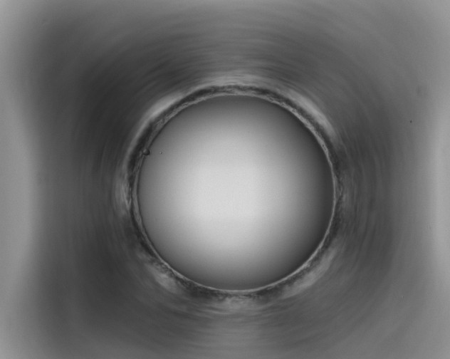 X0000115520974200911131442