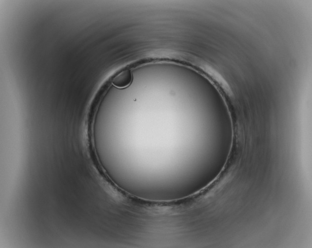 X0000115520976200911131442