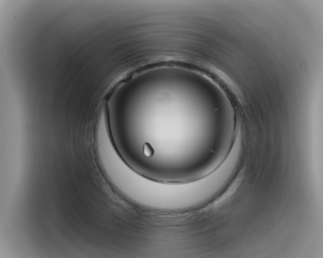 X0000115520977200911131442