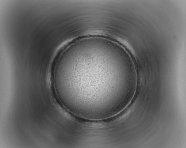 X0000115520979200911131442