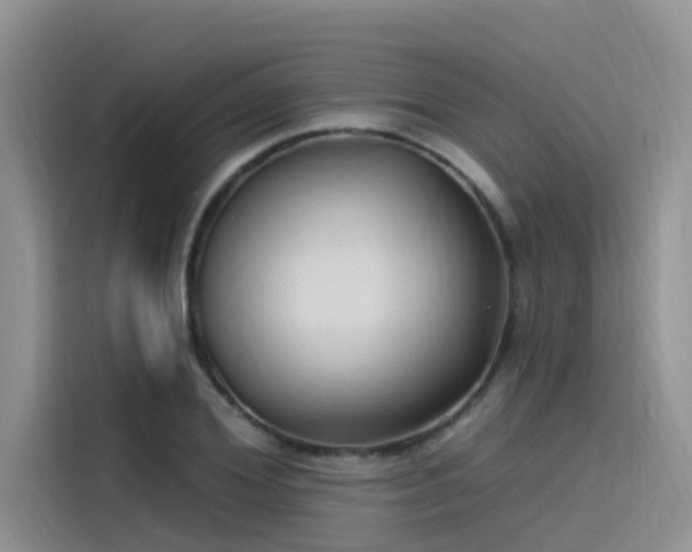 X0000115520980200911131442