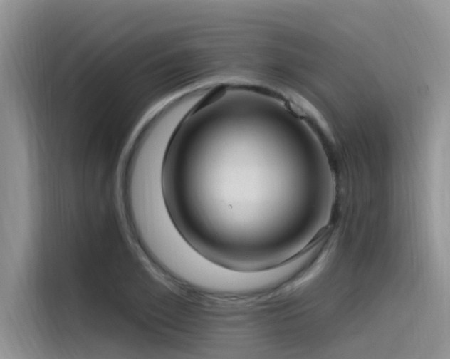 X0000115520981200911131442