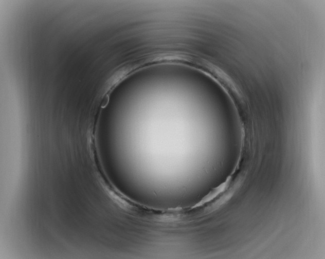 X0000115520985200911131442