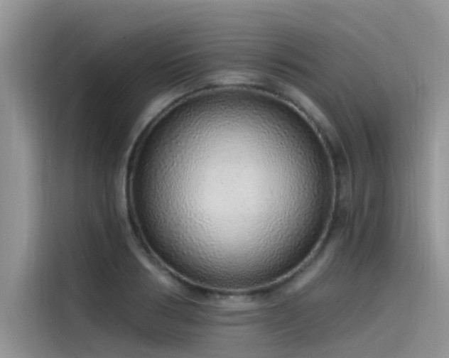 X0000115520986200911131442