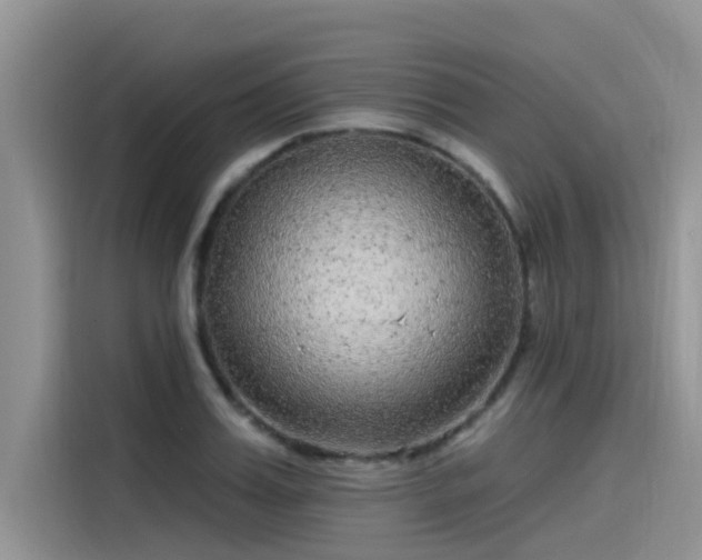 X0000115520987200911131442