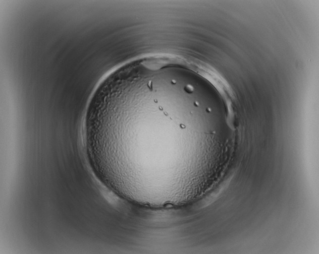 X0000115520988200911131442