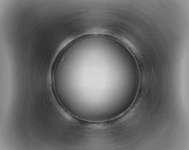 X0000115520990200911131442