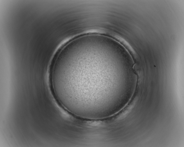 X0000115520991200911131442