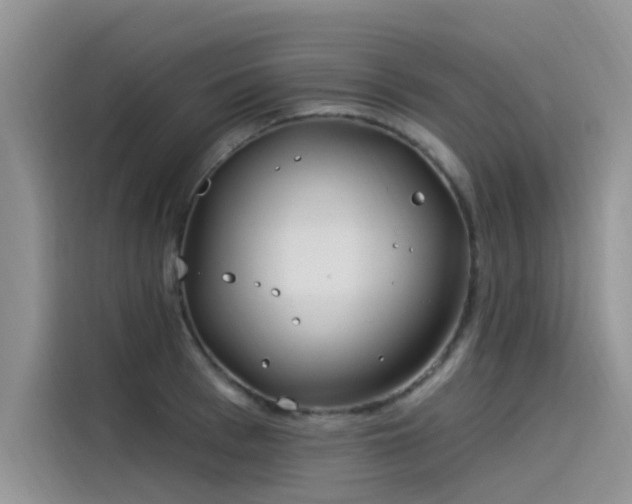 X0000115520993200911131442