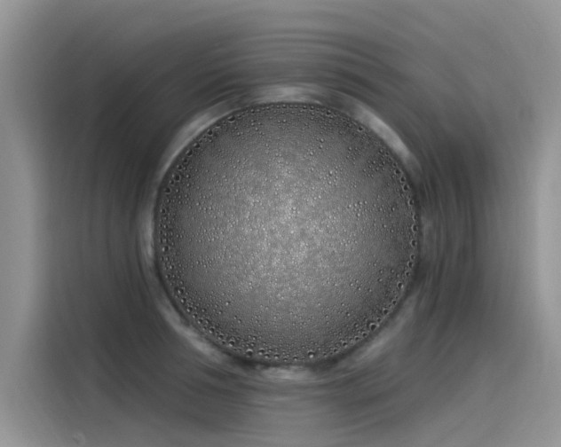 X0000115520994200911131441