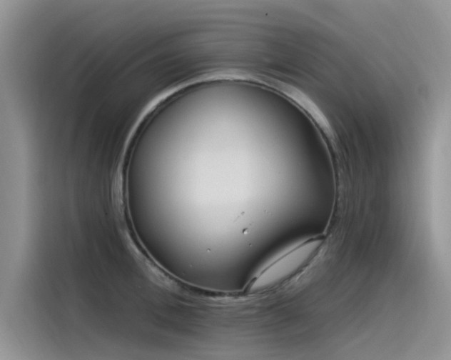 X0000115520996200911131441