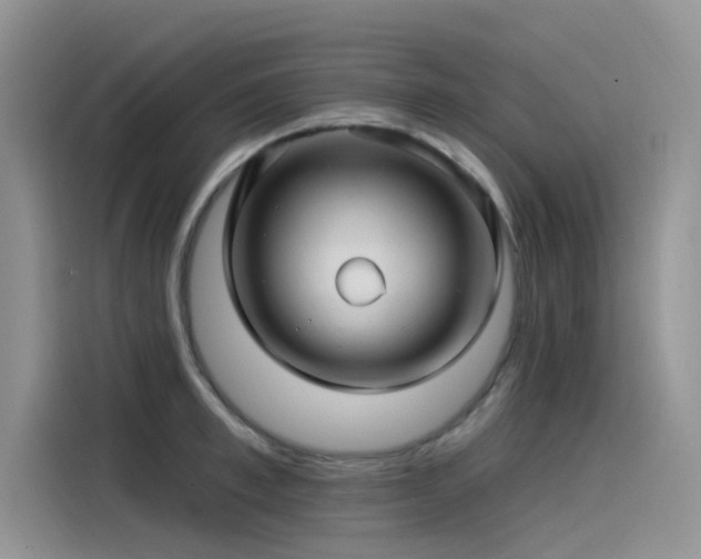 X0000115520997200911131441