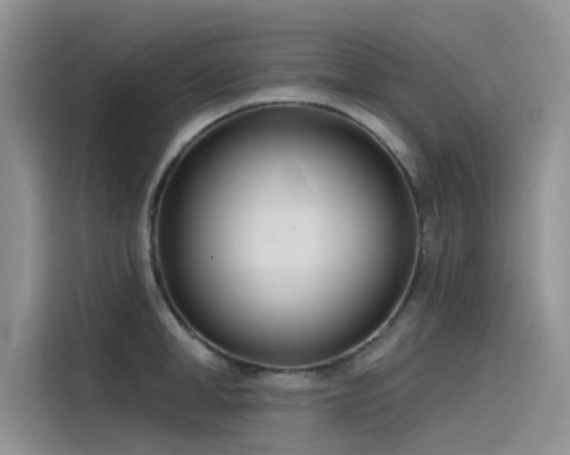 X0000115520998200911131441