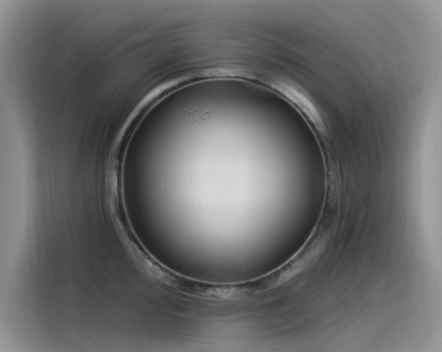 X0000115521000200911131441