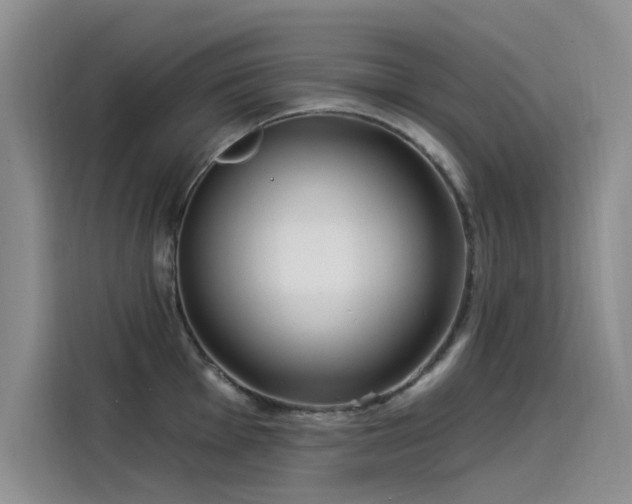 X0000115521001200911131441