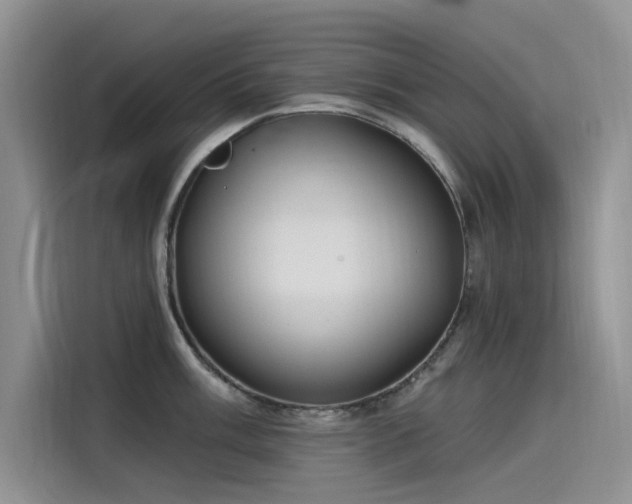 X0000115521003200911131441