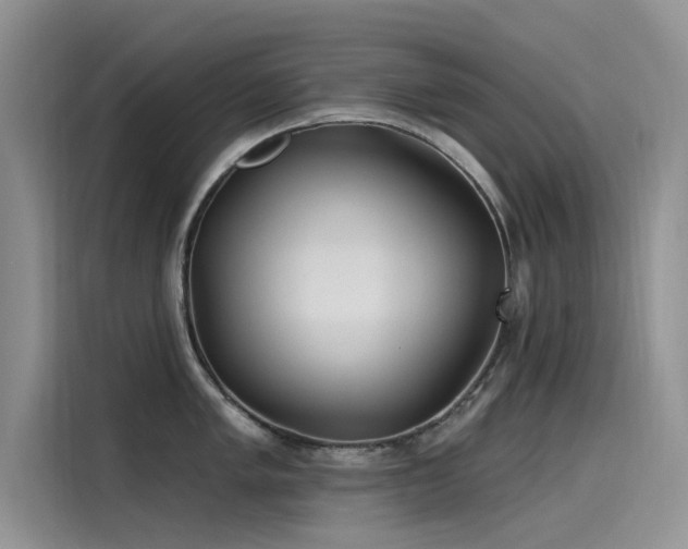 X0000115521005200911131441