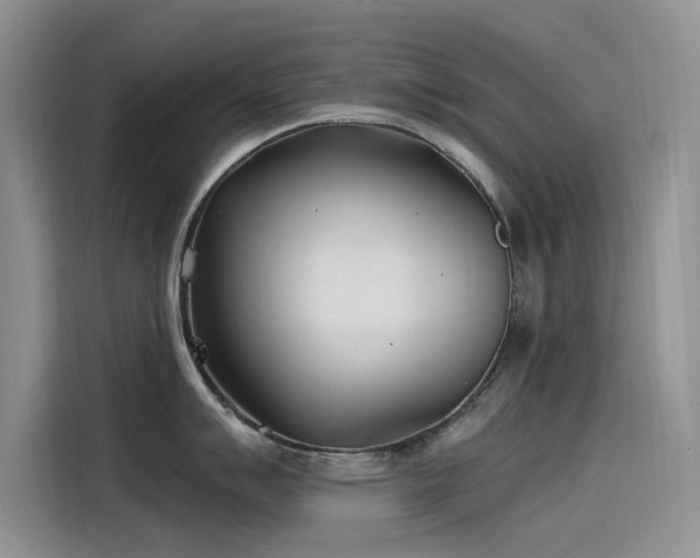 X0000115521007200911131441