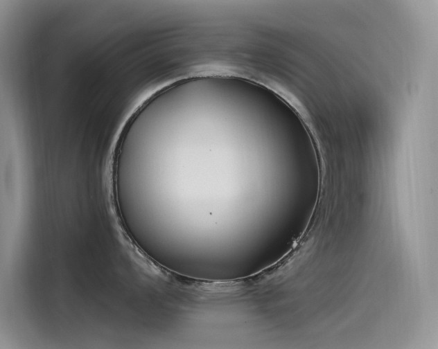 X0000115521008200911131441