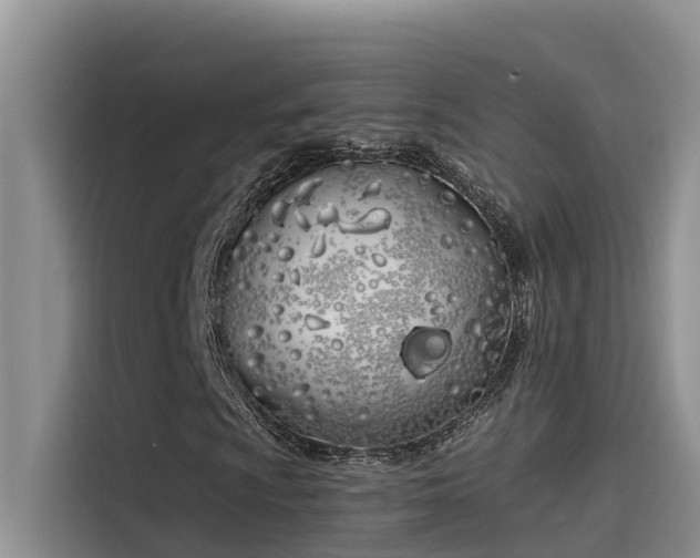 X0000115521009200911131441