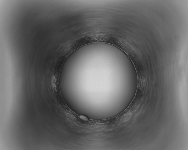 X0000115521010200911131441