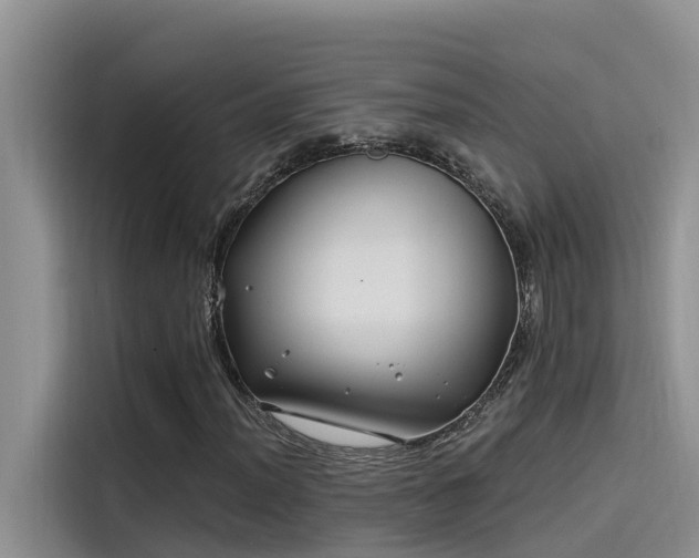 X0000115521012200911131441